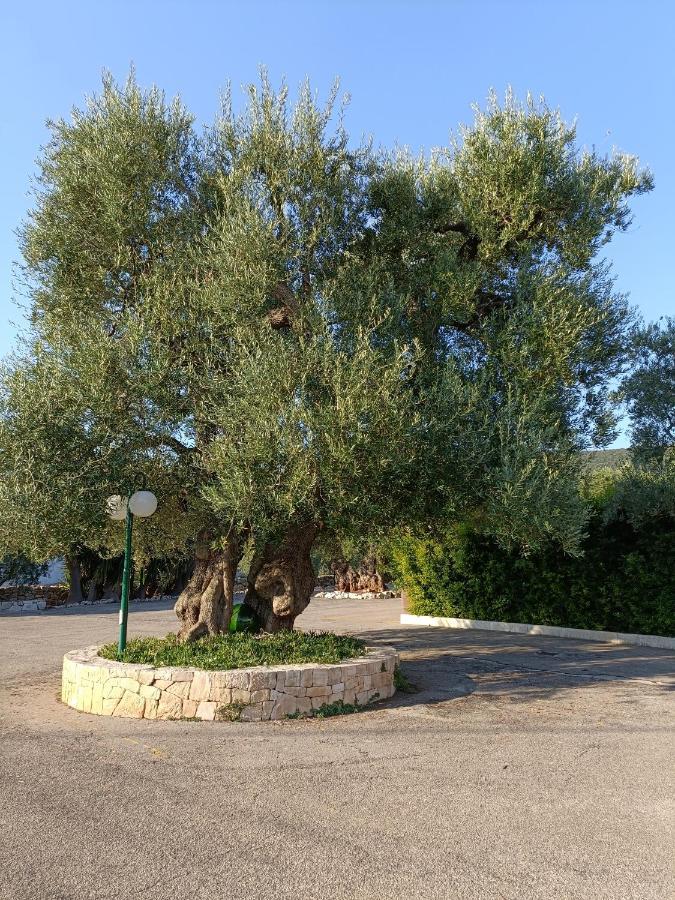 Masseria Galleppa By Apulia Hospitality Macchia di Monte Exterior foto